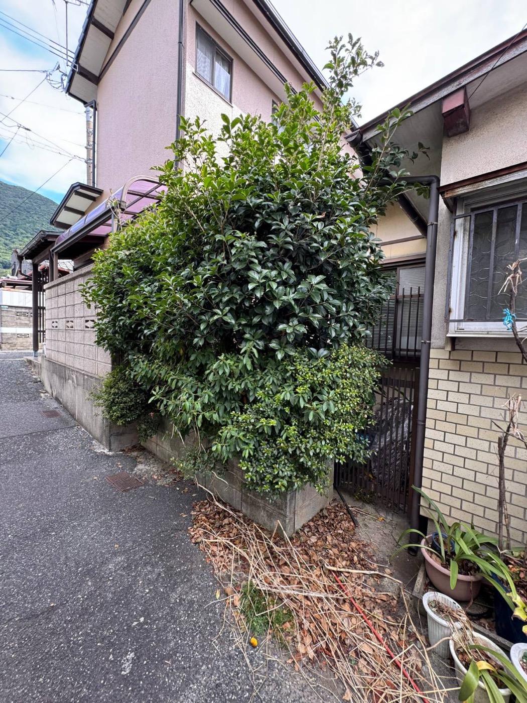 作業前：塀を越えて茂った木を伐採し、玄関まわりが明るく