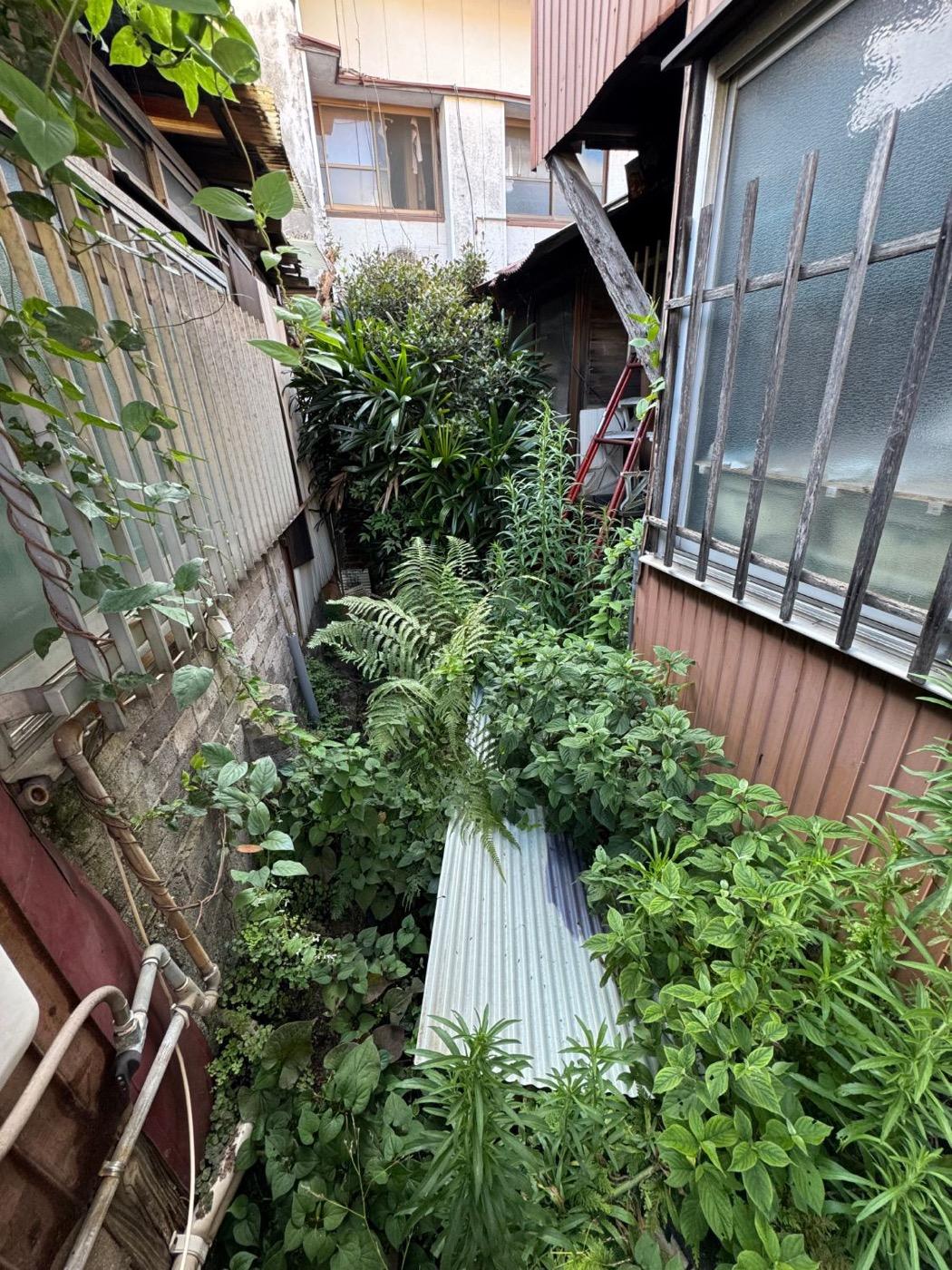 作業前：草とトタン板に埋もれた側溝を掘り出し、水が流れるように